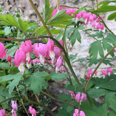 Les Du Clos Saint-martin Apartment
